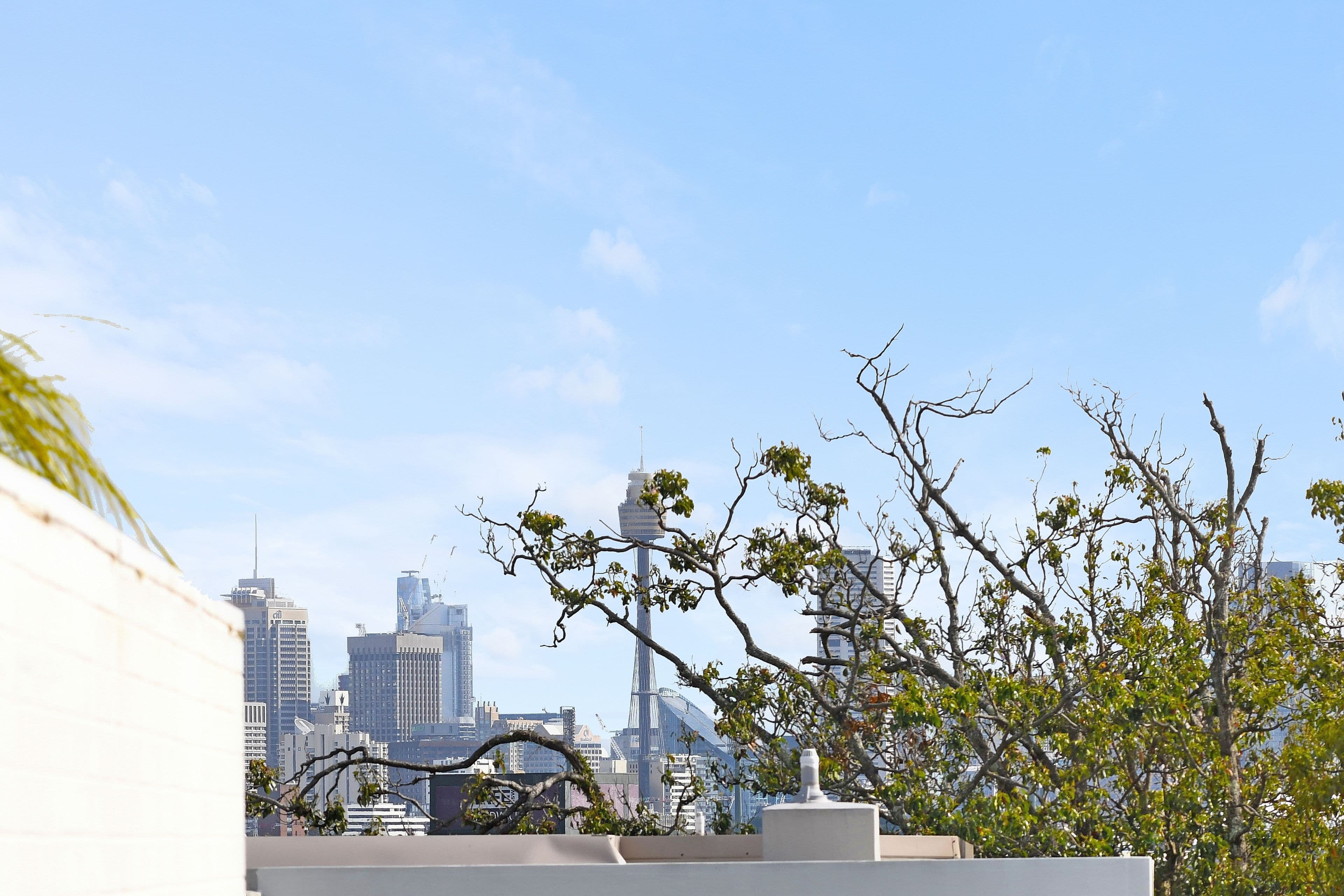 2 Holkham Avenue, Randwick NSW 2031, Randwick - Thumbnail 3