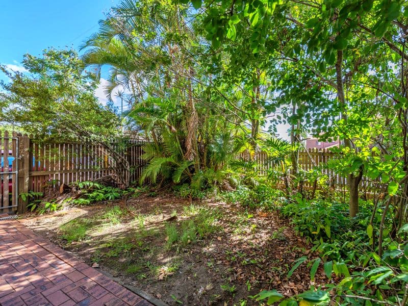 445 Hawthorne Road, Bulimba QLD 4171, Bulimba - Thumbnail 6