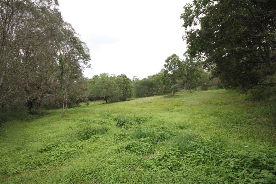 Lot 14 Old Mill Road, CARTERS RIDGE QLD 4563, Carters Ridge - Thumbnail 2