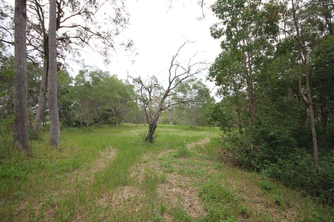 Lot 14 Old Mill Road, CARTERS RIDGE QLD 4563, Carters Ridge - Thumbnail 7