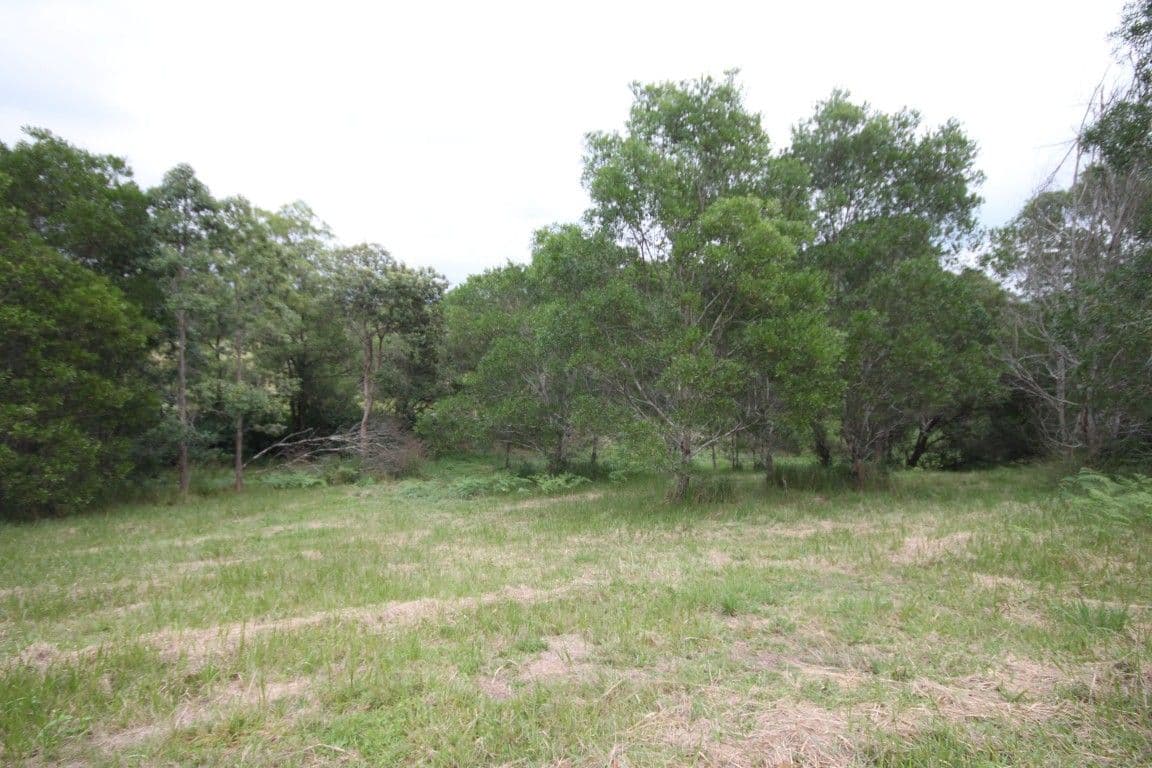 Lot 14 Old Mill Road, CARTERS RIDGE QLD 4563, Carters Ridge - Thumbnail 8