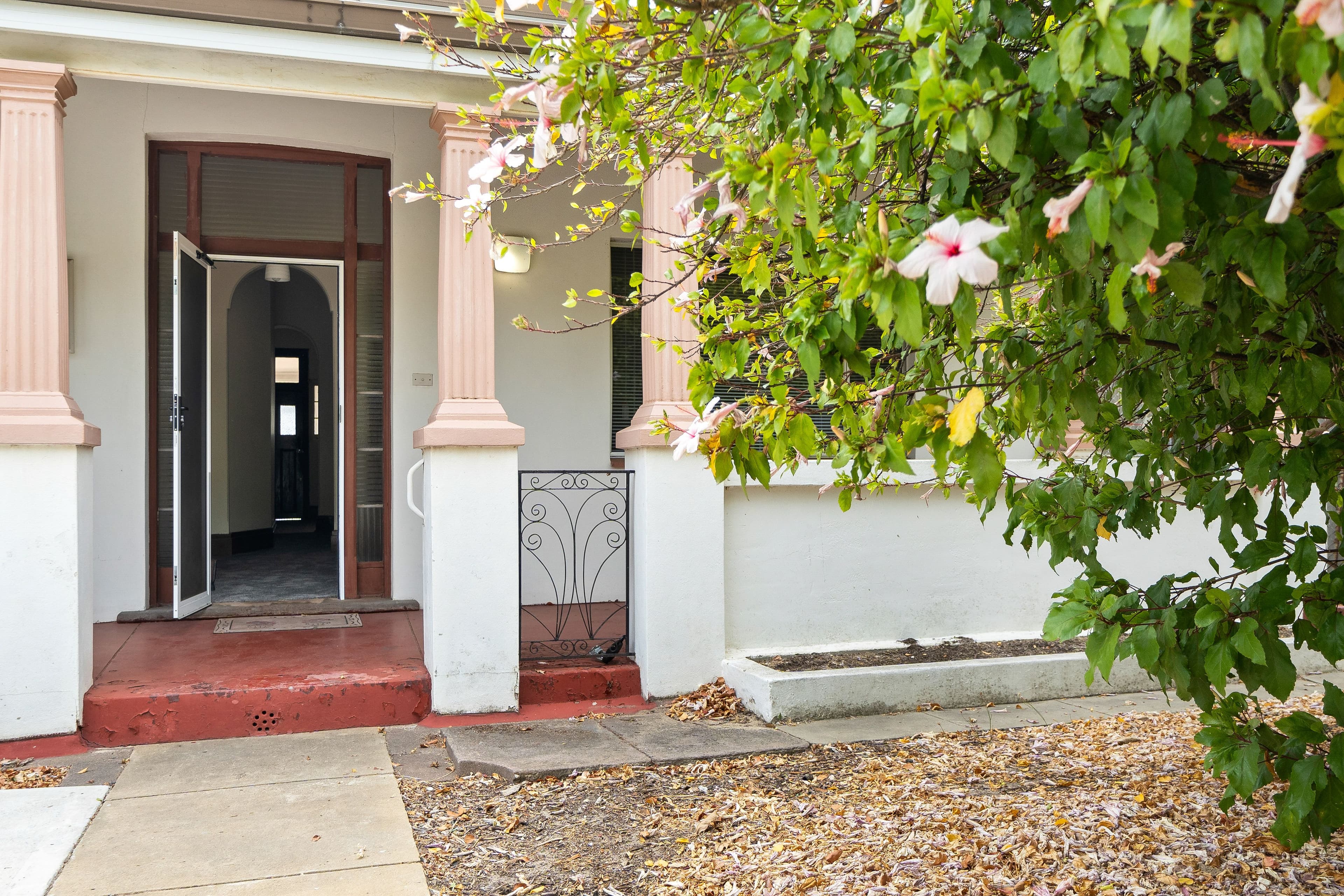 96 Forrest Street, North Perth WA 6006, North Perth - Thumbnail 8