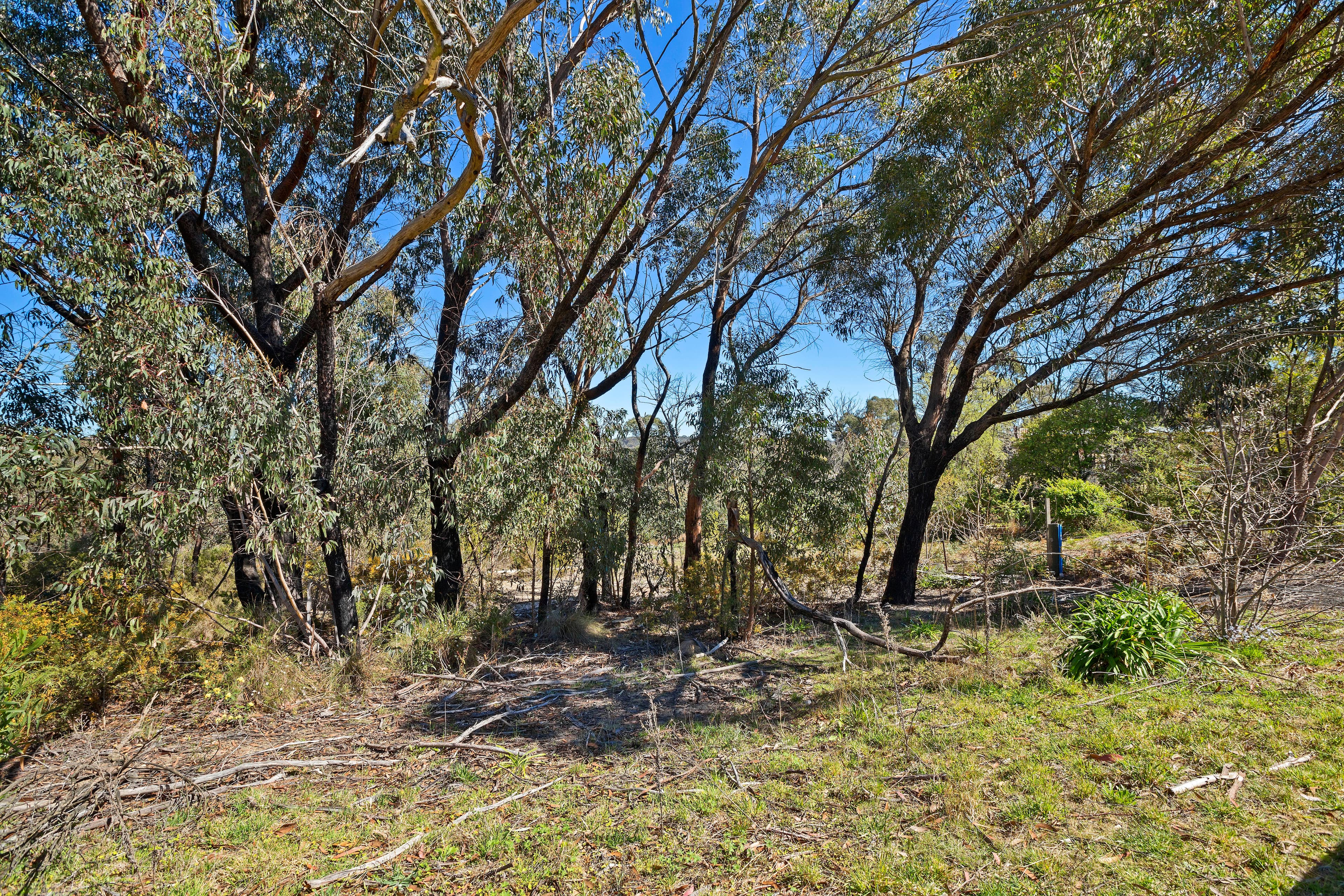 18 St Georges Parade, Mount Victoria NSW 2786, Mount Victoria - Image 1