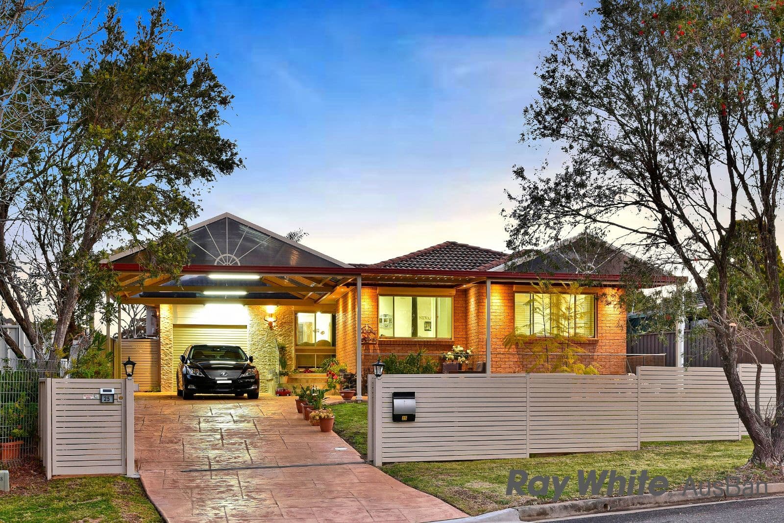 25 AMBROSIA STREET,,, Macquarie Fields NSW 2564, Macquarie Fields - Image 1