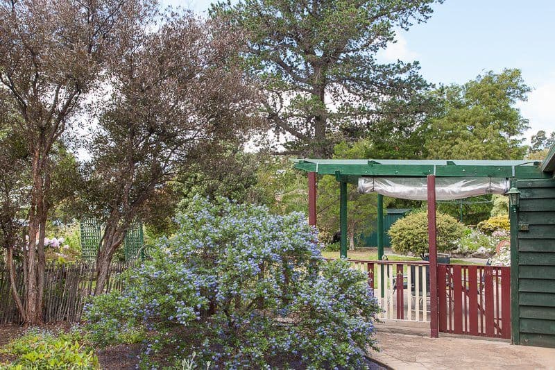 18 Sophia Street, KINGSTON TAS 7050, Kingston - Thumbnail 6