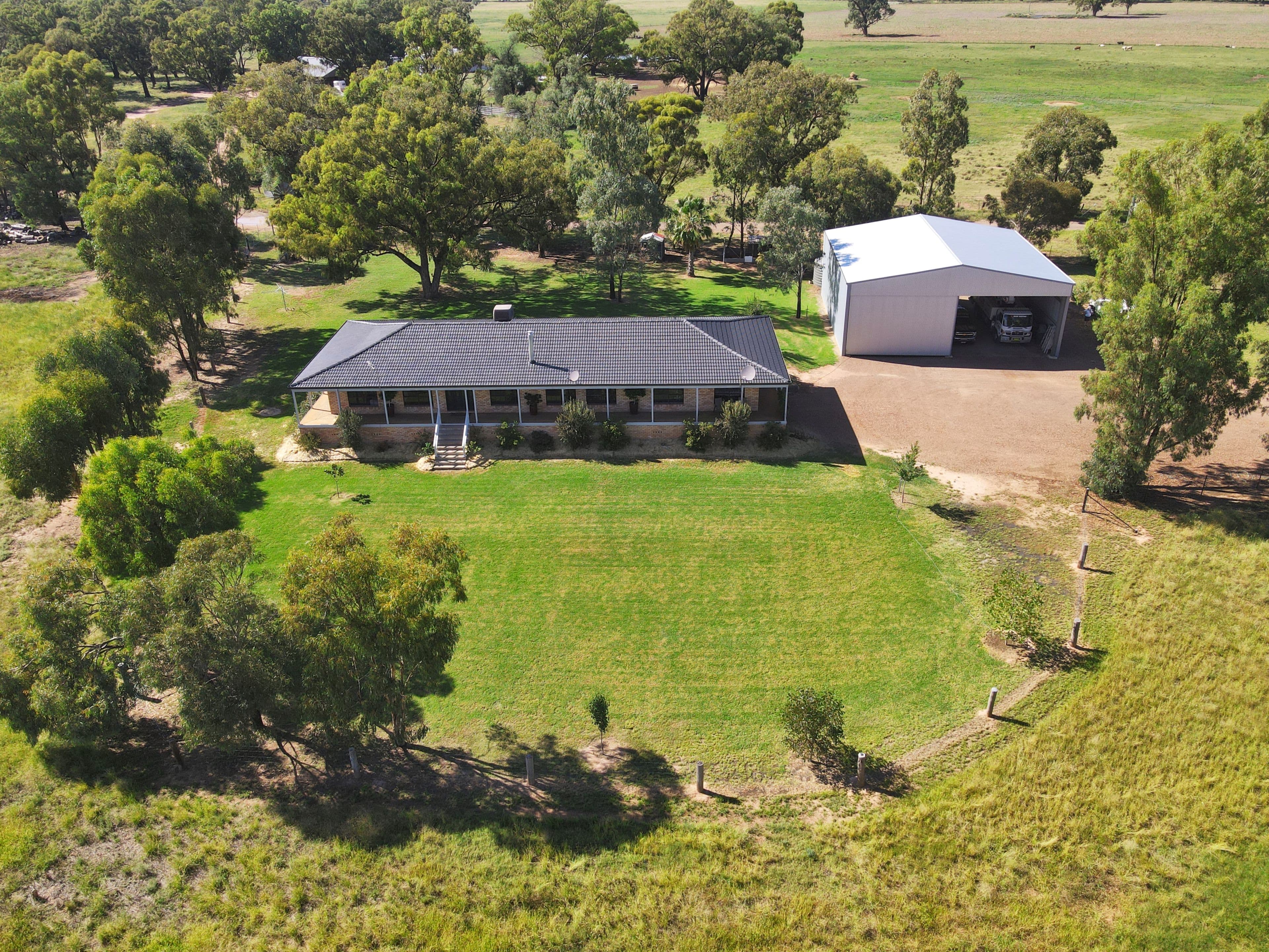 98 Yellow Box Road, Forbes NSW 2871, Forbes - Image 1