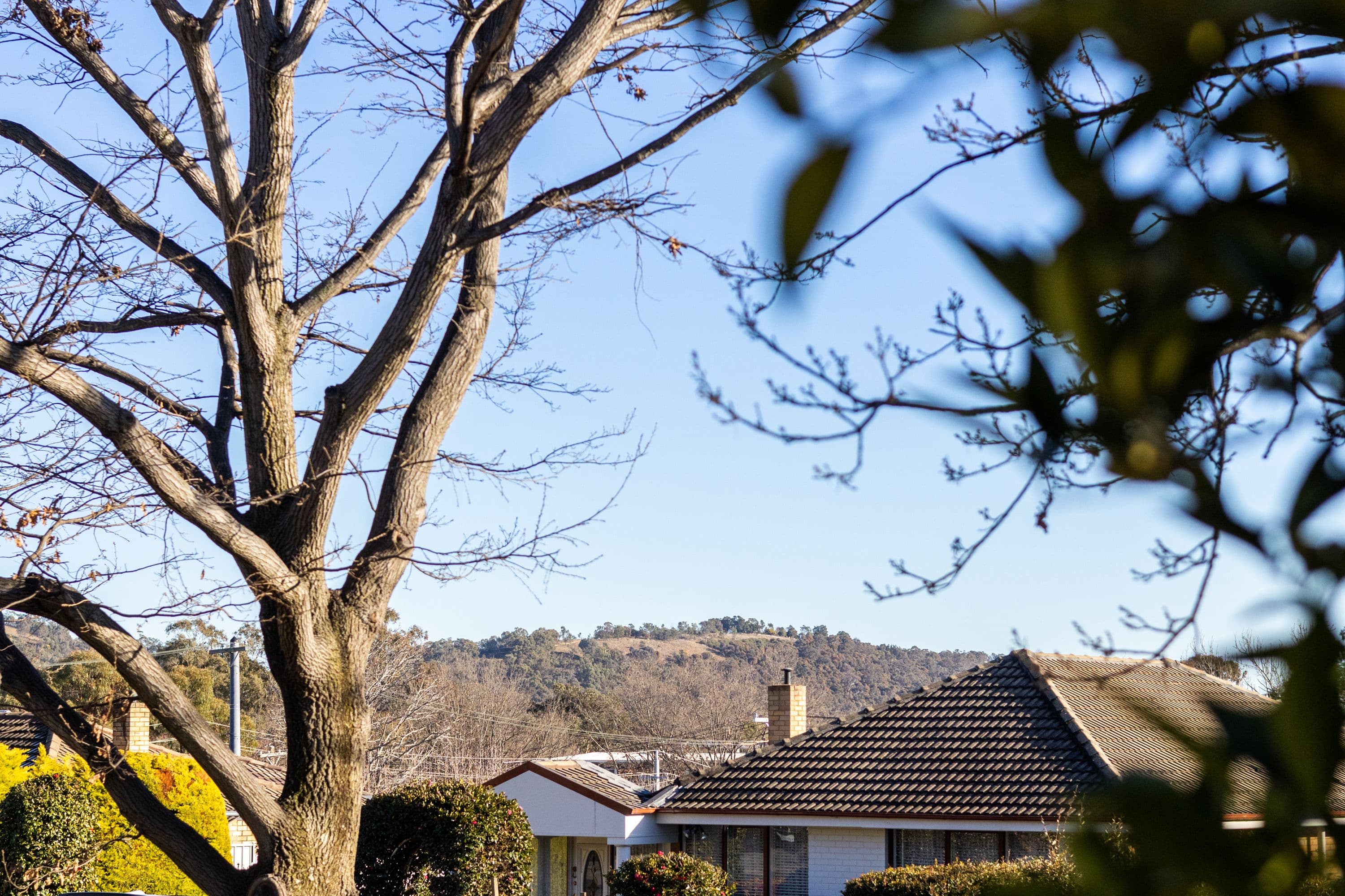 3 Discovery Street, Red Hill ACT 2603, Red Hill - Thumbnail 2