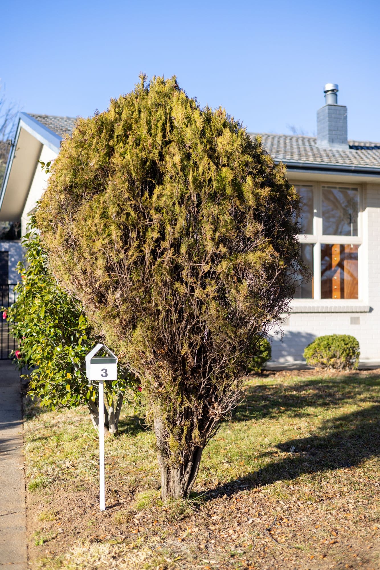 3 Discovery Street, Red Hill ACT 2603, Red Hill - Thumbnail 5