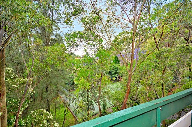 66 Helen Street, LANE COVE NSW 2066, Lane Cove North - Thumbnail 4