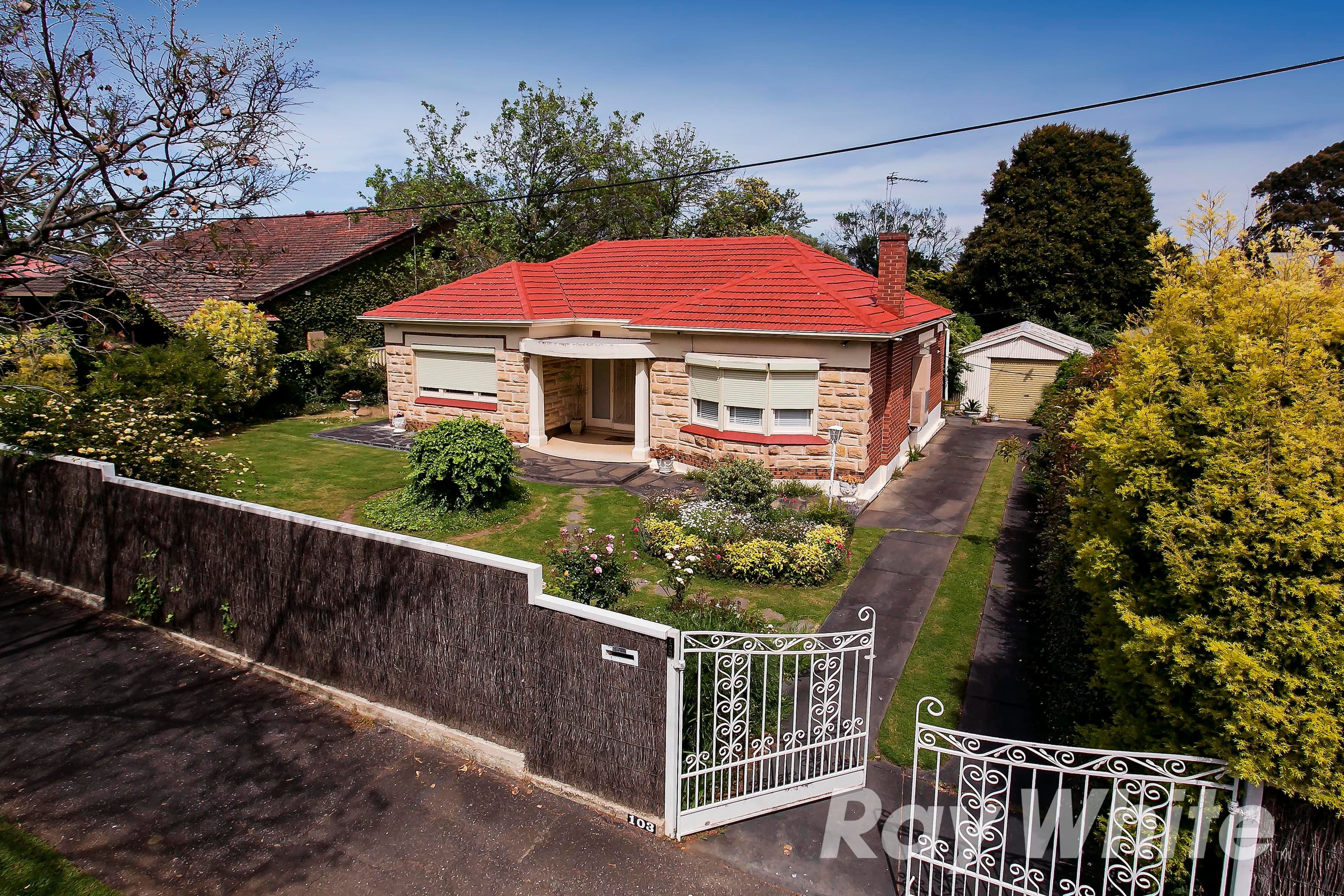 103 Sydney Street, Glenunga SA 5064, Glenunga - Thumbnail 6