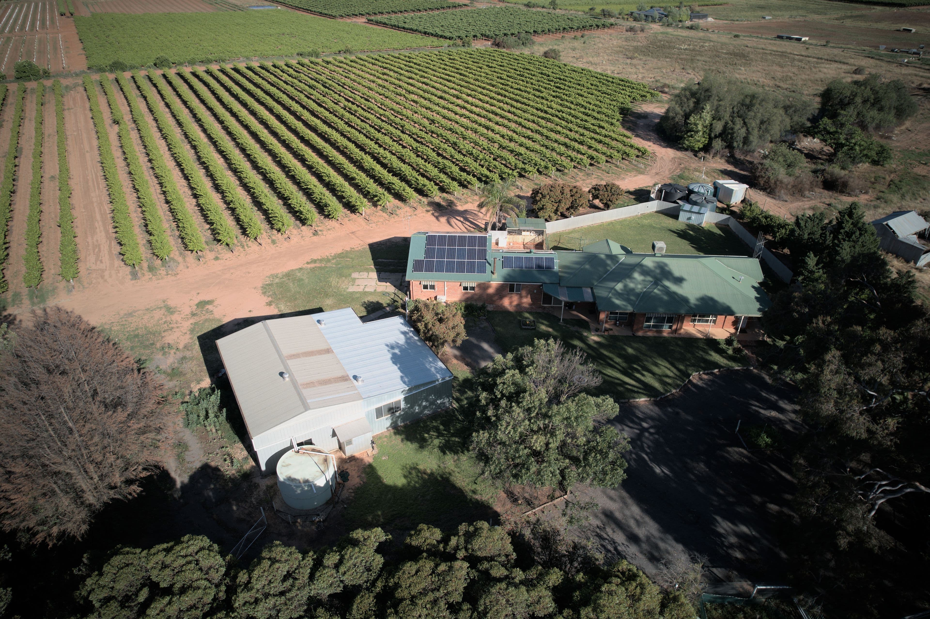 90 Kinghorn Lane, Nyah VIC 3594, Nyah - Thumbnail 3