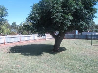 79 Moama Street, Mathoura NSW 2710, Mathoura - Thumbnail 5