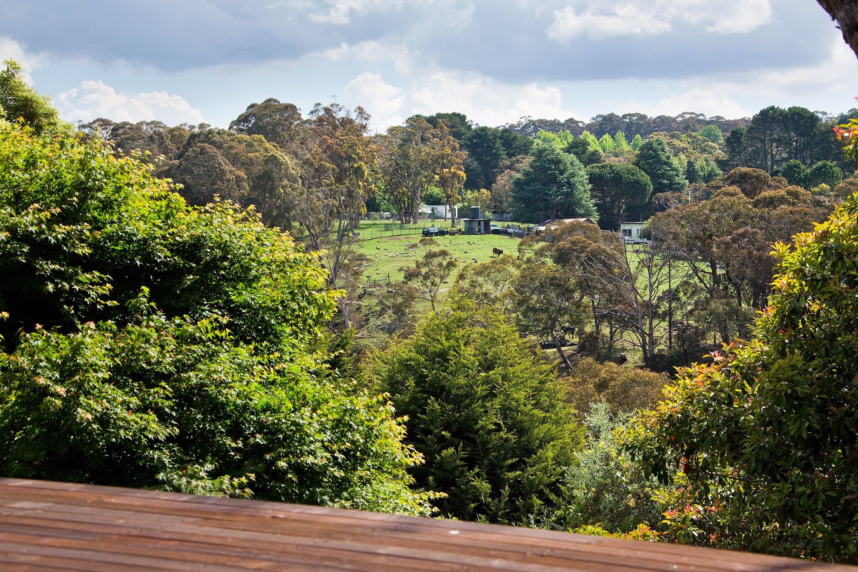 10 Thorpe Street, Katoomba - Thumbnail 8