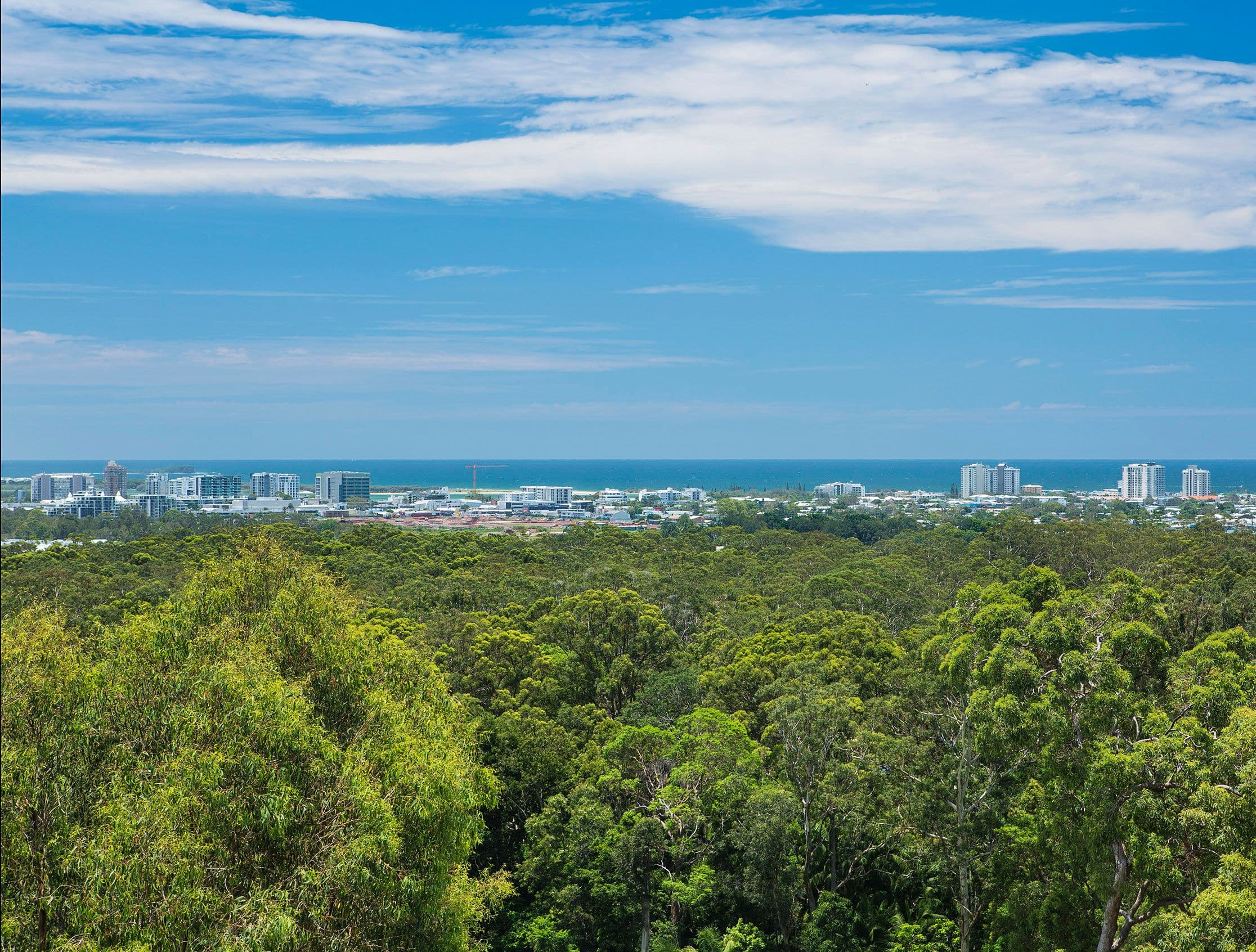 16 Mayfair Lane, Buderim QLD 4556, Buderim - Image 1