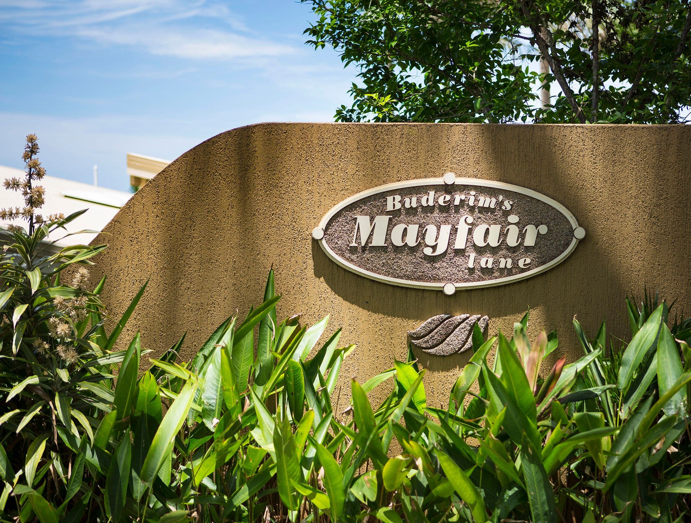 16 Mayfair Lane, Buderim QLD 4556, Buderim - Thumbnail 4