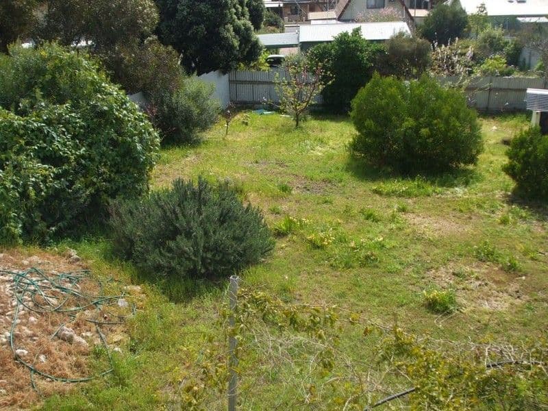 31 Old Blanchetown Rd, Waikerie, SA, 5330, Waikerie - Thumbnail 7