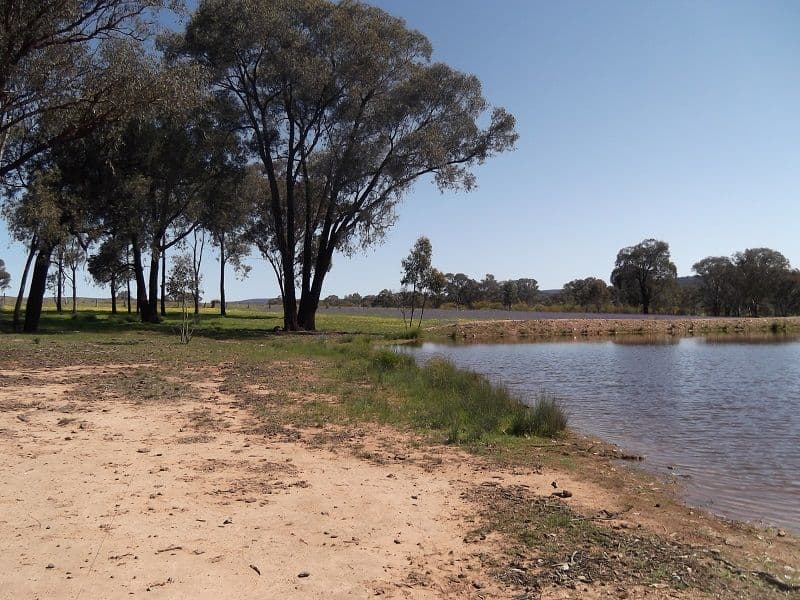 384A Fragar Road, COWRA NSW 2794, Cowra - Thumbnail 8
