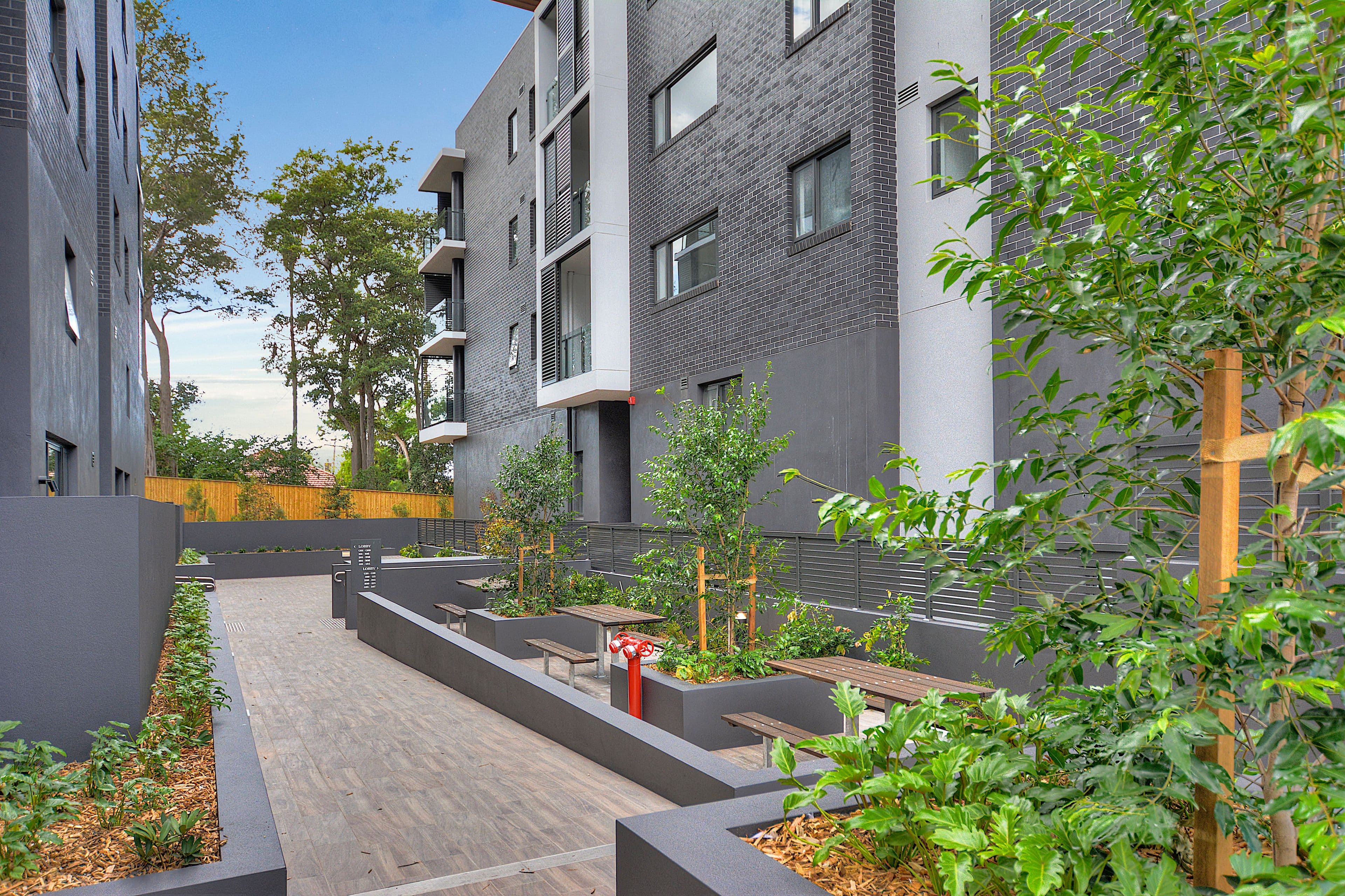3-7 Forest Grove, Epping NSW 2121, Epping - Thumbnail 7