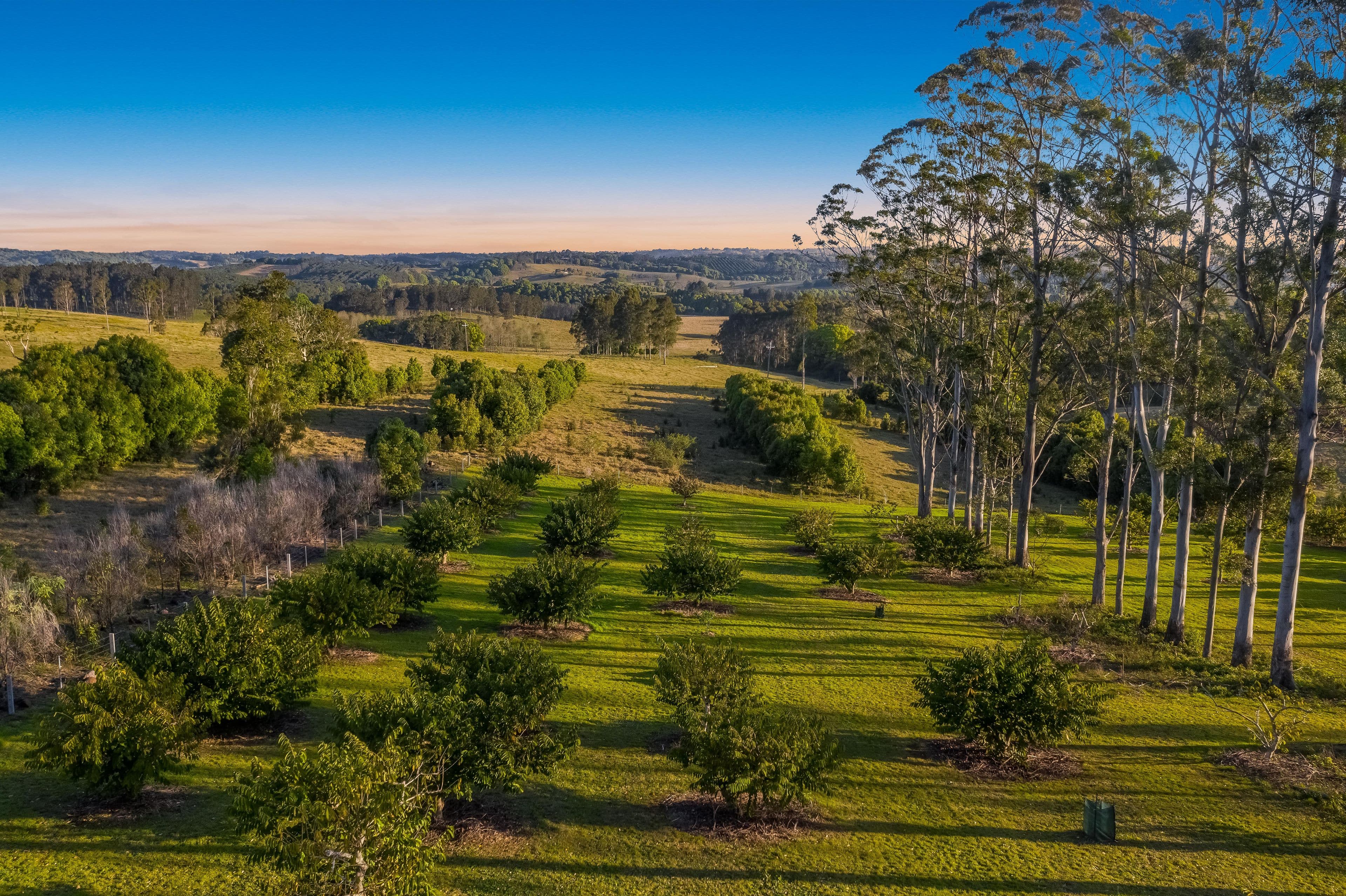 137 Stewarts Road, Clunes NSW 2480, Clunes - Thumbnail 2