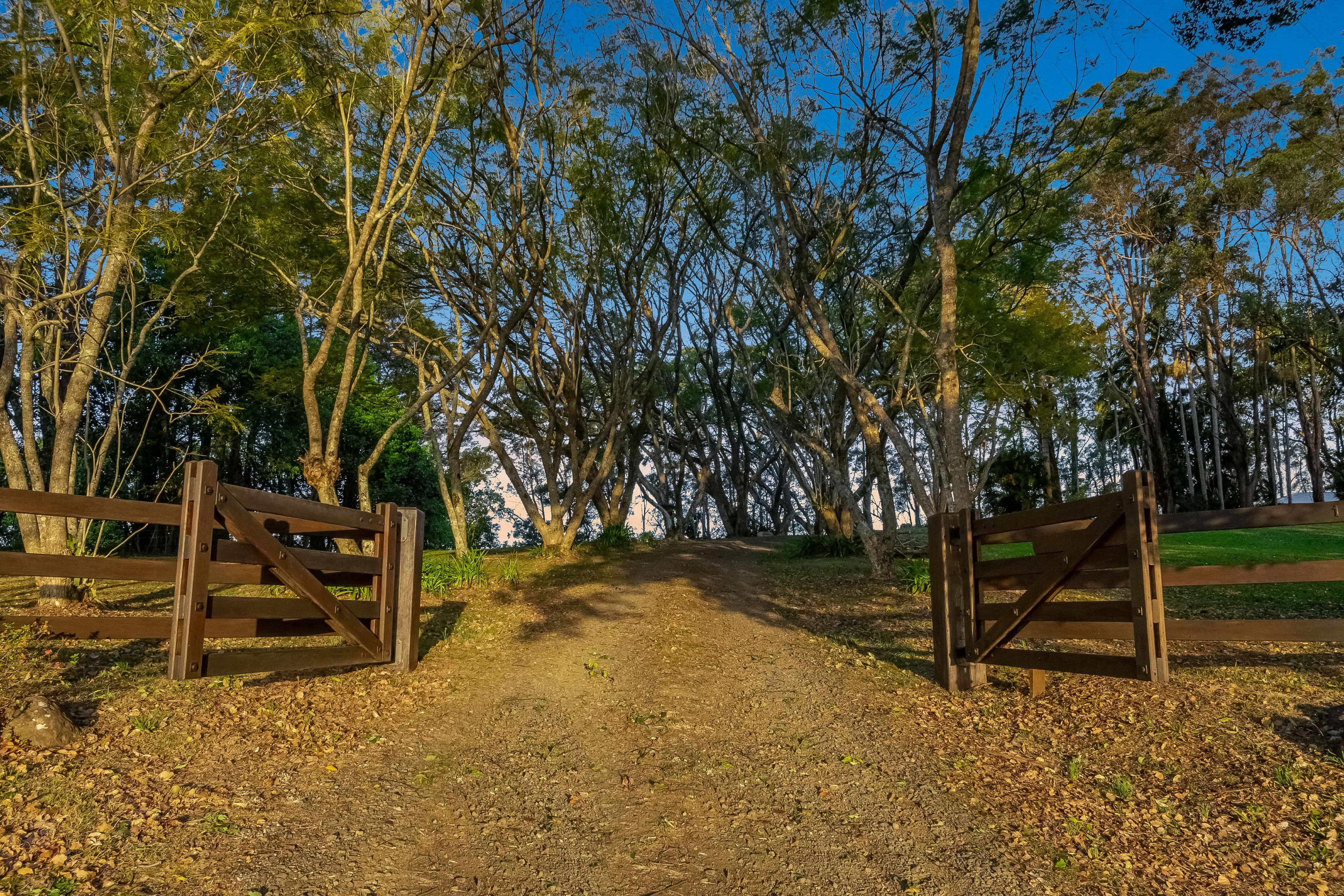 137 Stewarts Road, Clunes NSW 2480, Clunes - Thumbnail 4