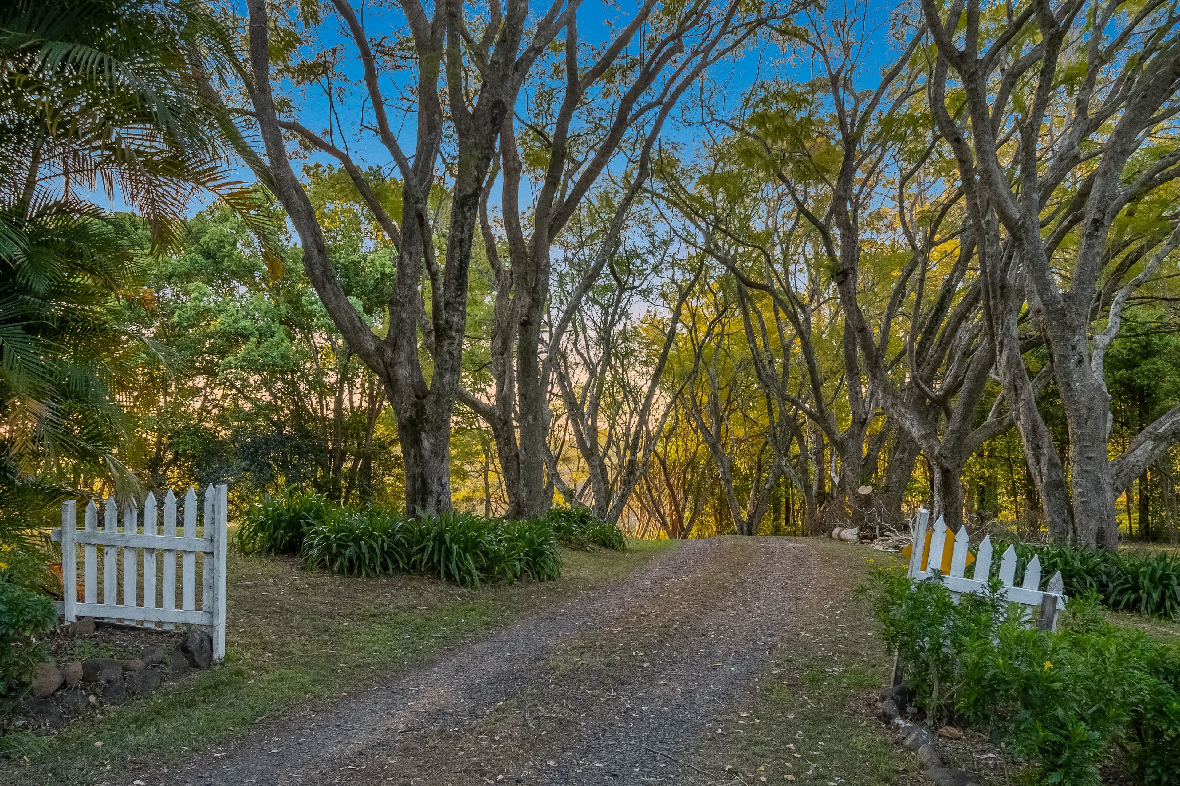 137 Stewarts Road, Clunes NSW 2480, Clunes - Thumbnail 6