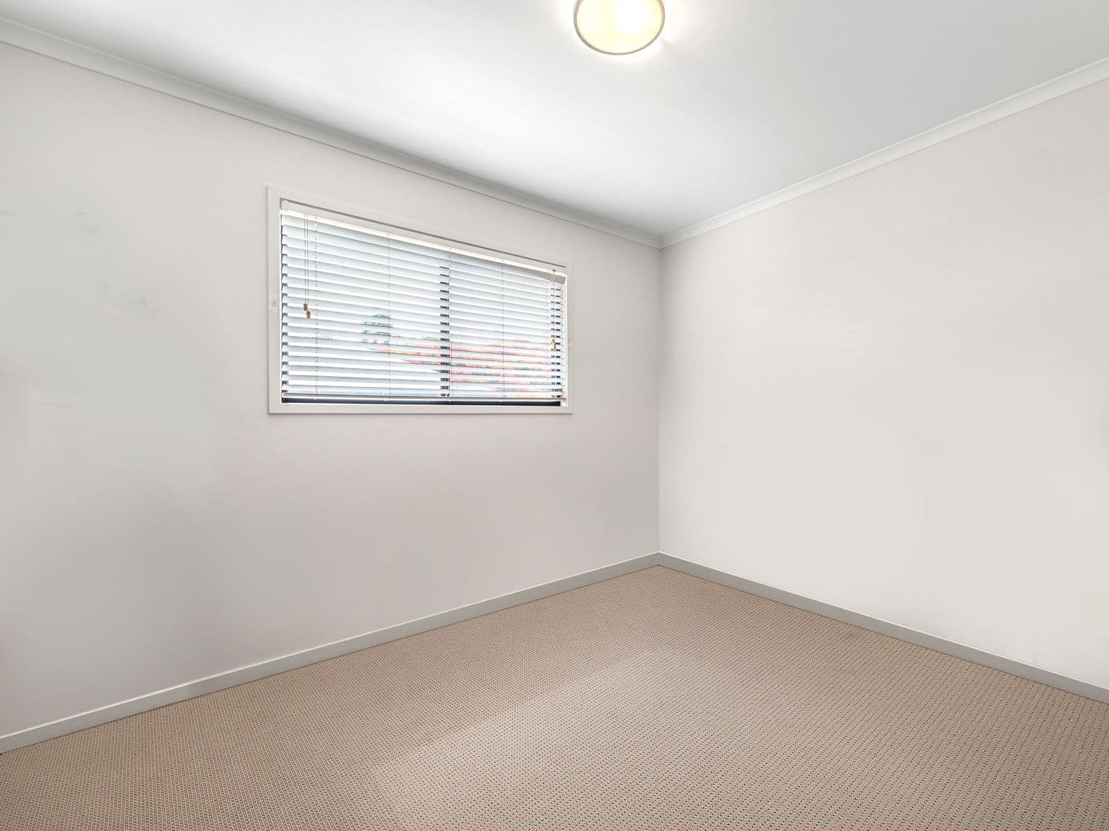 15 Harry Street, Ashgrove QLD 4060, Ashgrove - Thumbnail 6