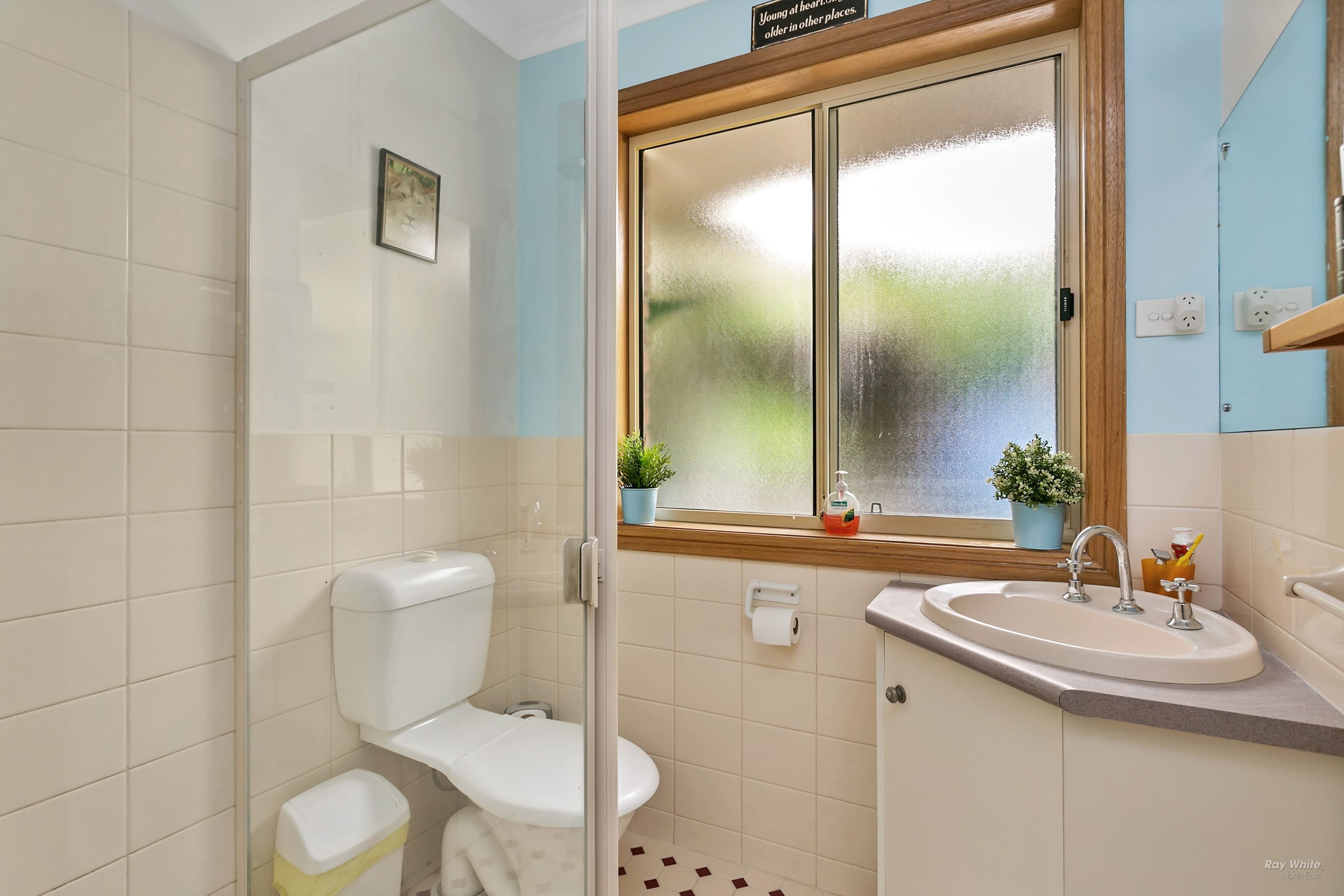 25 Stillwell Court, Greenwith SA 5125, Greenwith - Thumbnail 8