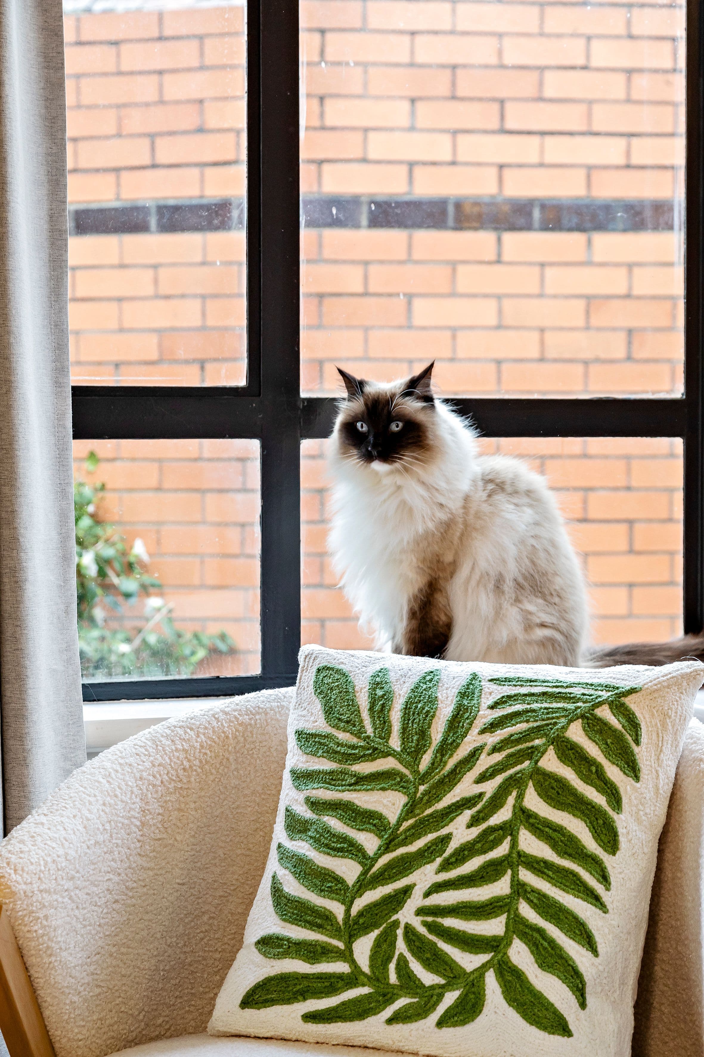 1 Osullivan Court, Fawkner VIC 3060, Fawkner - Thumbnail 4