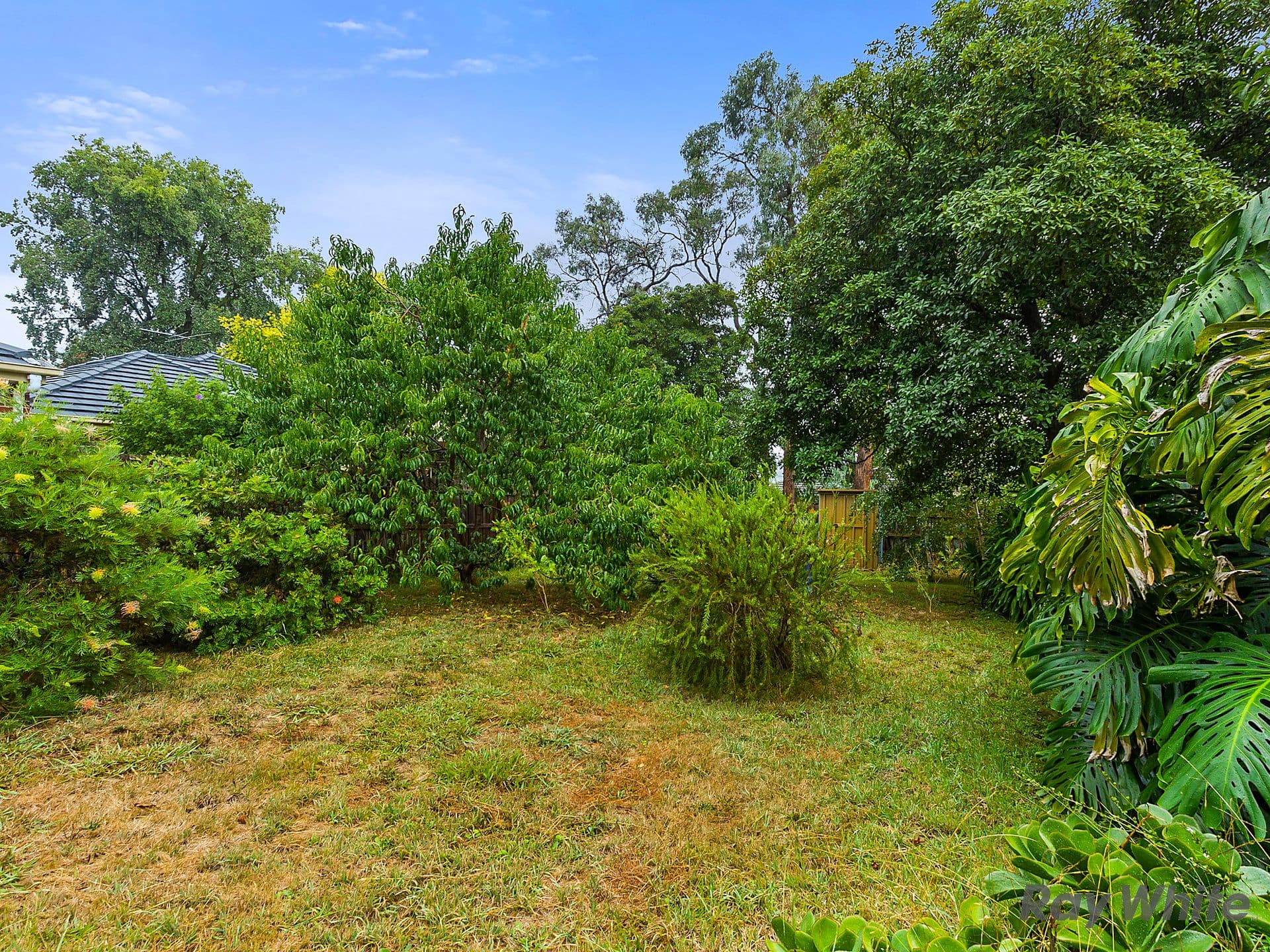 6A Hopetoun Street, Mitcham VIC 3132, Mitcham - Thumbnail 2