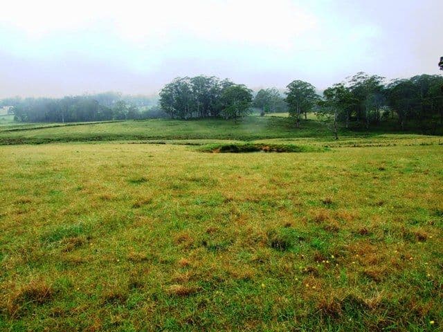 Lot 2 Princes Highway, TERMEIL NSW 2539, Termeil - Thumbnail 2