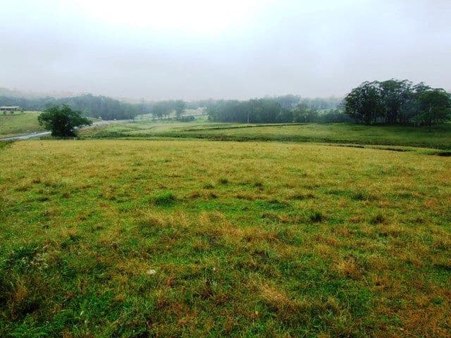 Lot 2 Princes Highway, TERMEIL NSW 2539, Termeil - Thumbnail 3