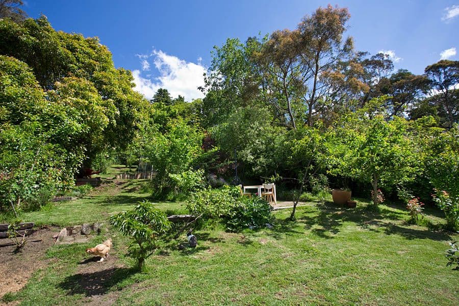 32 Shipley Road, Blackheath NSW 2785, Blackheath - Thumbnail 7