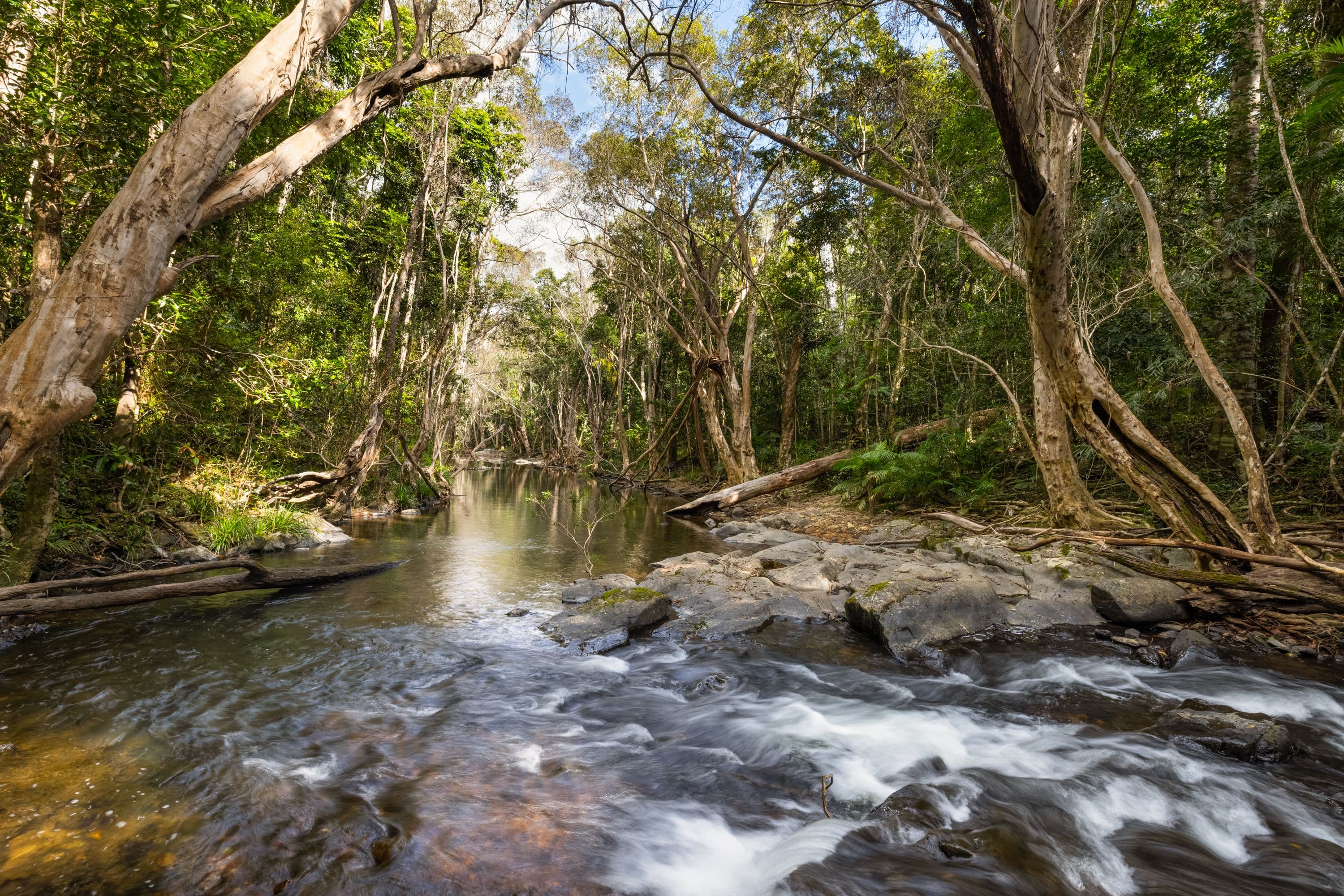 39 Forest Close, Speewah QLD 4881, Speewah - Thumbnail 2