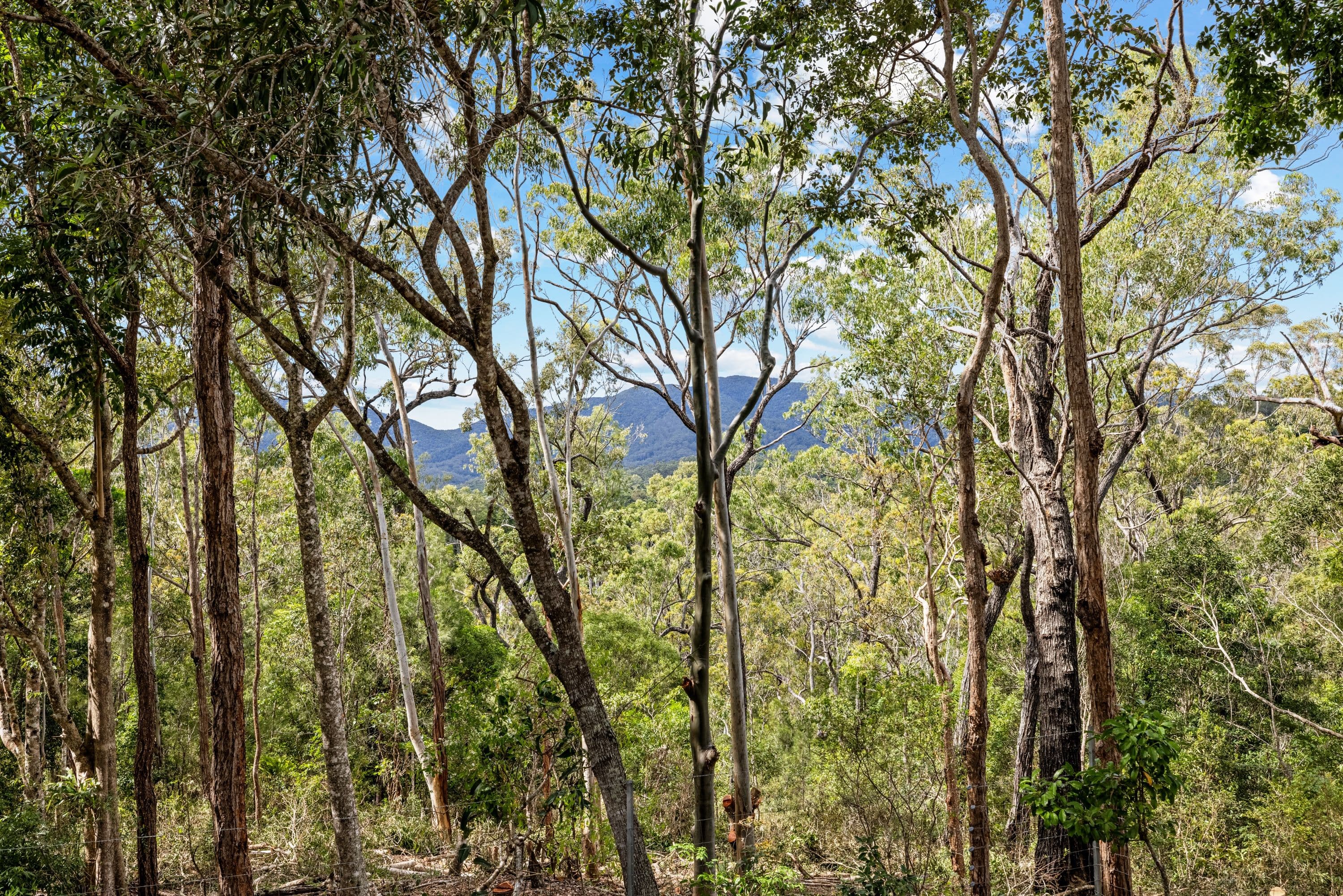 39 Forest Close, Speewah QLD 4881, Speewah - Thumbnail 4