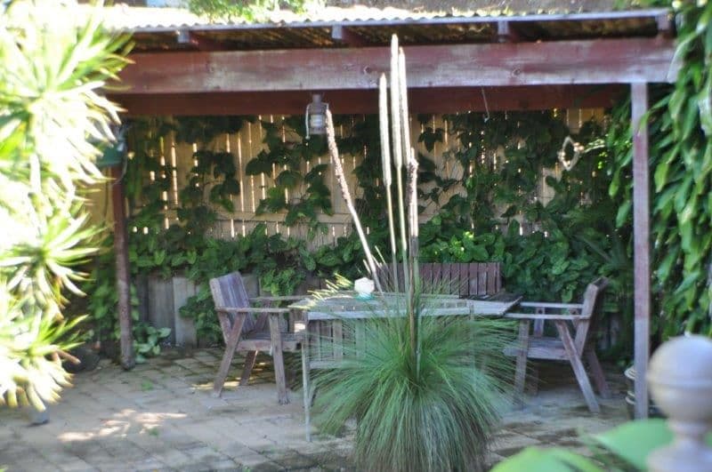 1 Ridgeland Close, RICHMOND HILL NSW 2480, Richmond Hill - Thumbnail 8