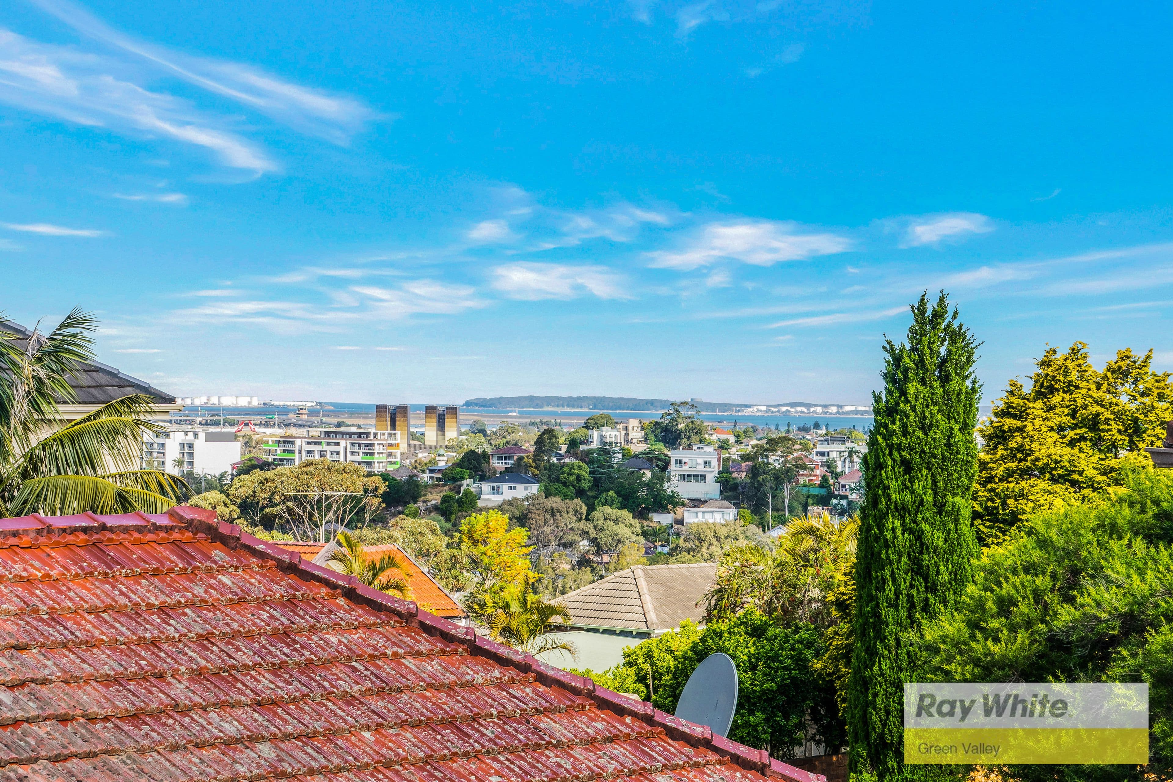 104 Bayview Avenue, Earlwood NSW 2206, Earlwood - Thumbnail 5