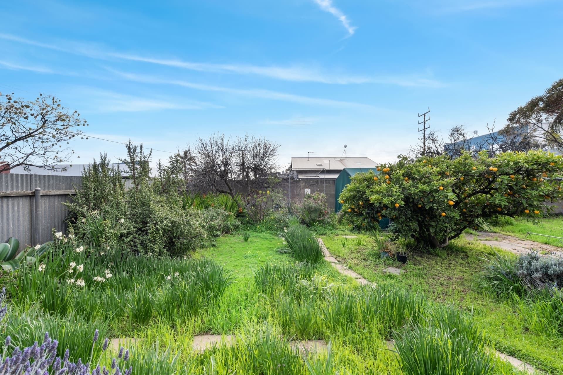 1 Shackleton Place, Flinders Park - Thumbnail 7