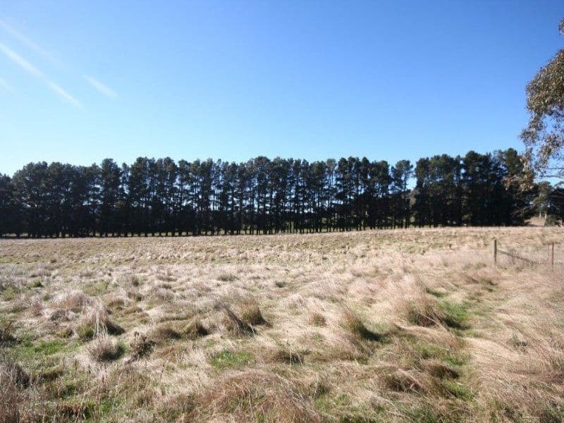 EDITH NSW 2787, Edith - Thumbnail 3