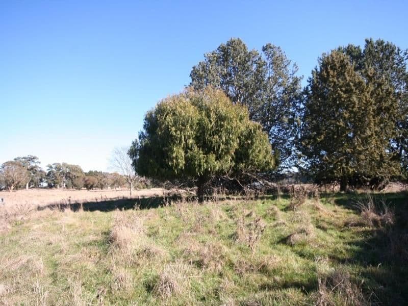 EDITH NSW 2787, Edith - Thumbnail 4