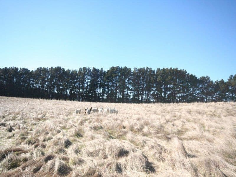 EDITH NSW 2787, Edith - Thumbnail 6