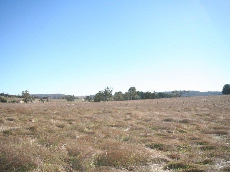 EDITH NSW 2787, Edith - Thumbnail 7