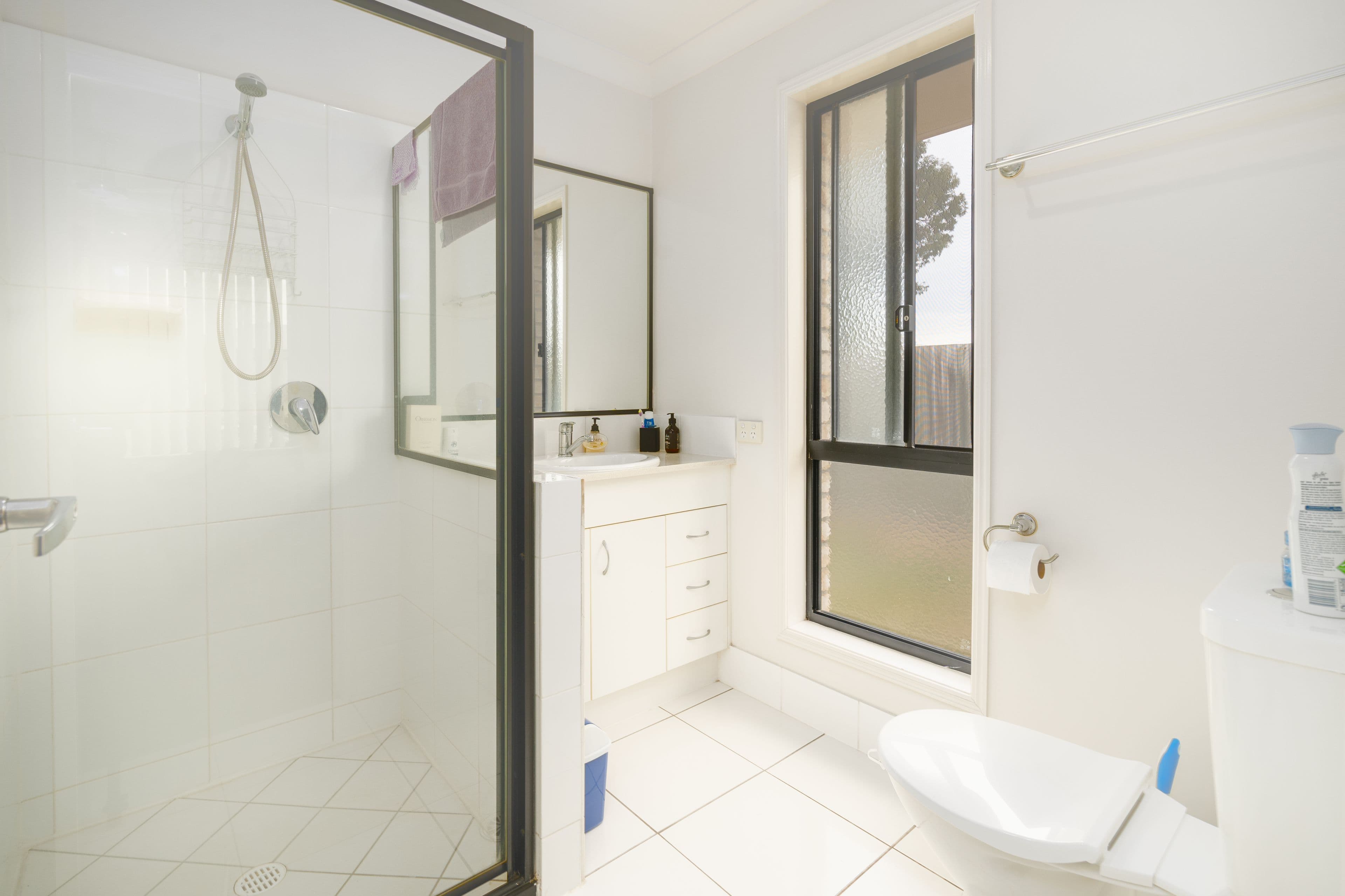 4 Haslingden Park Drive, Lowood QLD 4311, Lowood - Thumbnail 6