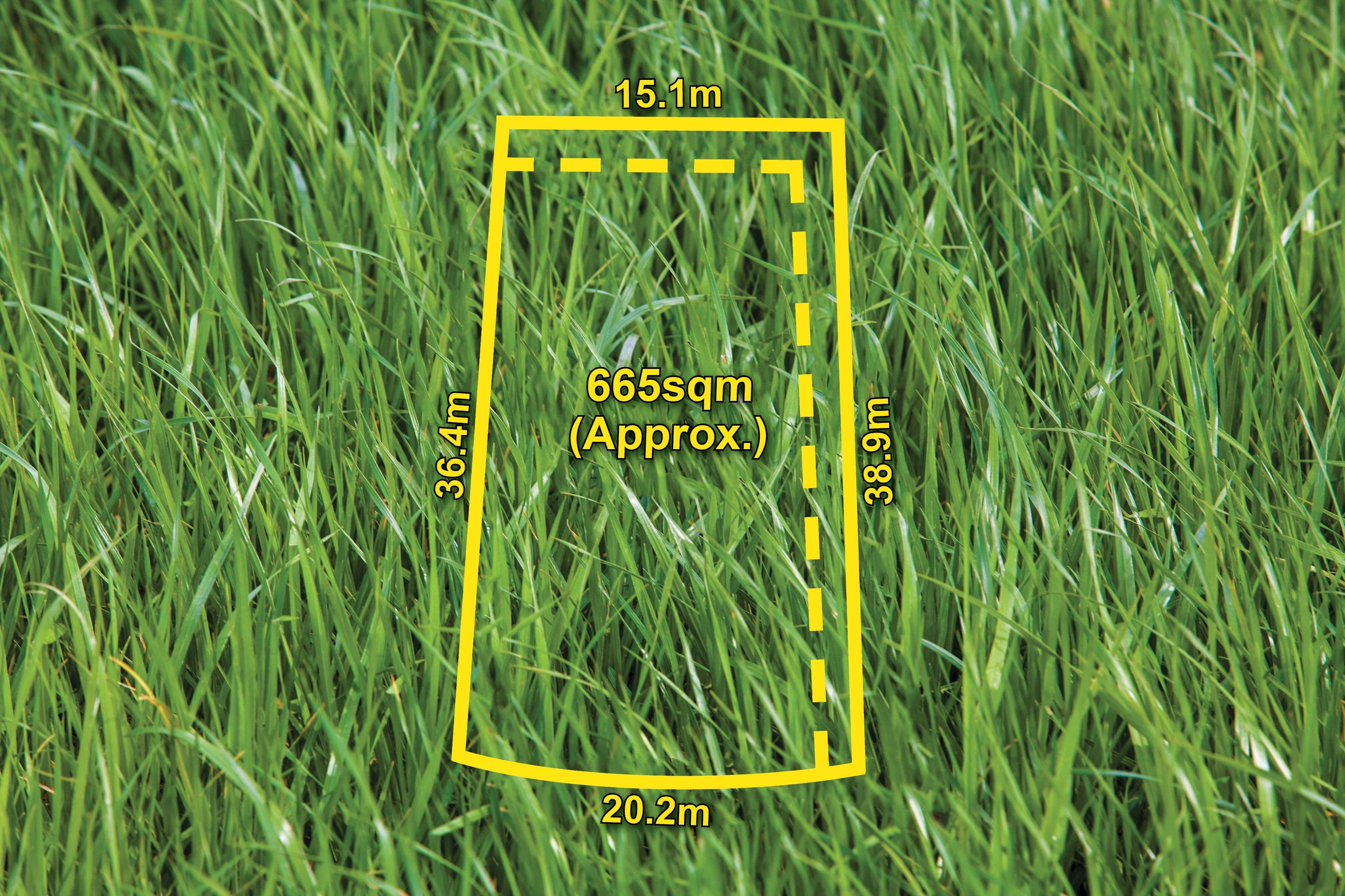 19 Vogue Avenue, Vermont South VIC 3133, Vermont South - Thumbnail 5