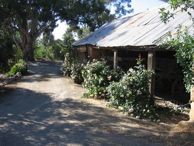 Lot 31 Burra Street, MINTARO SA 5415, Mintaro - Thumbnail 3