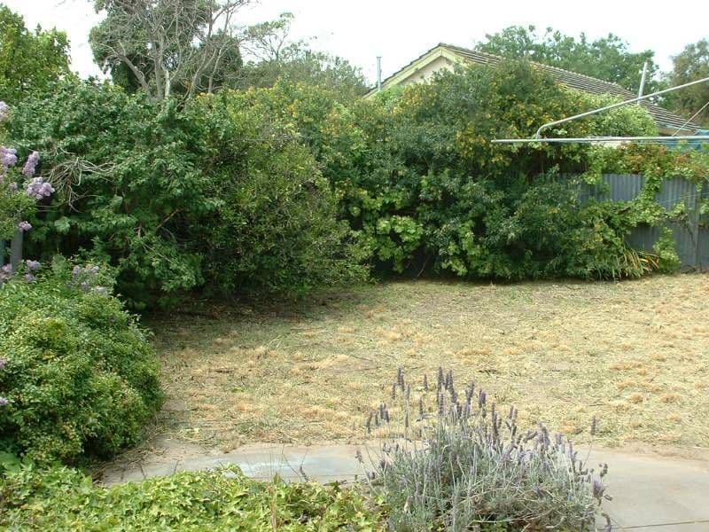6 Cairns Avenue, LOCKLEYS SA 5032, Lockleys - Thumbnail 4