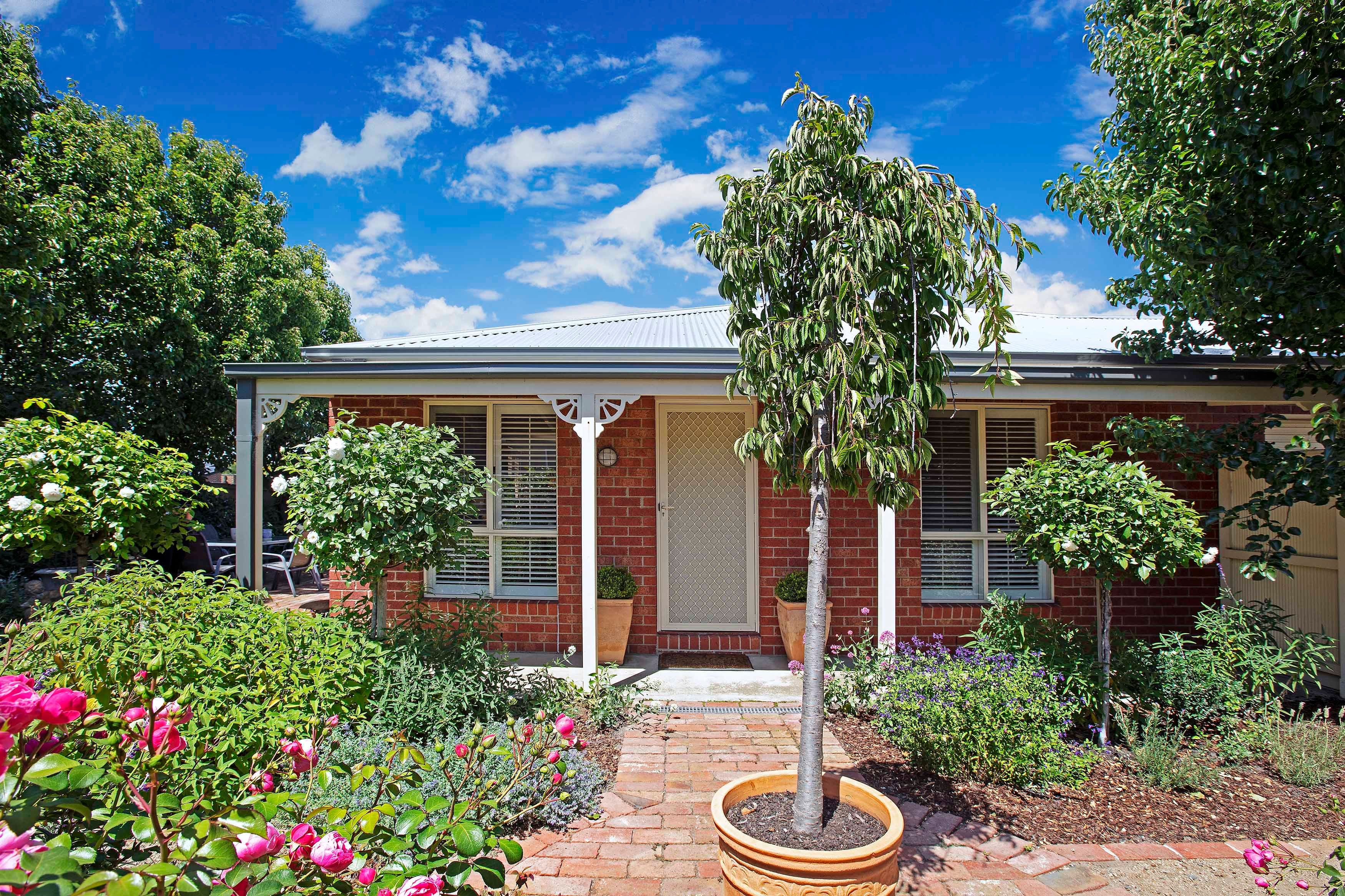 19 Bailey Street, Belmont VIC 3216, Belmont - Image 1