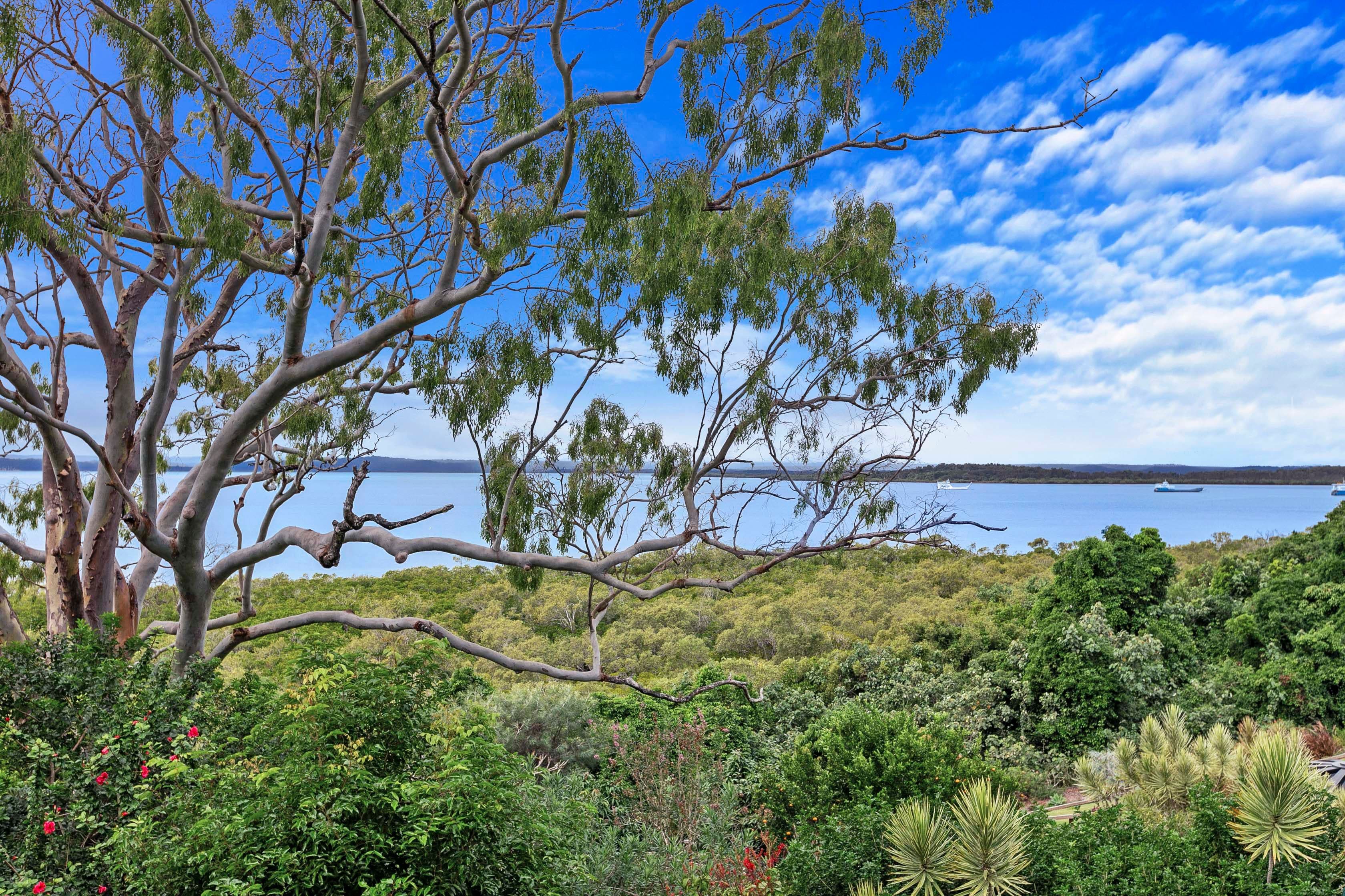18 Zena Close, River Heads QLD 4655, River Heads - Thumbnail 4