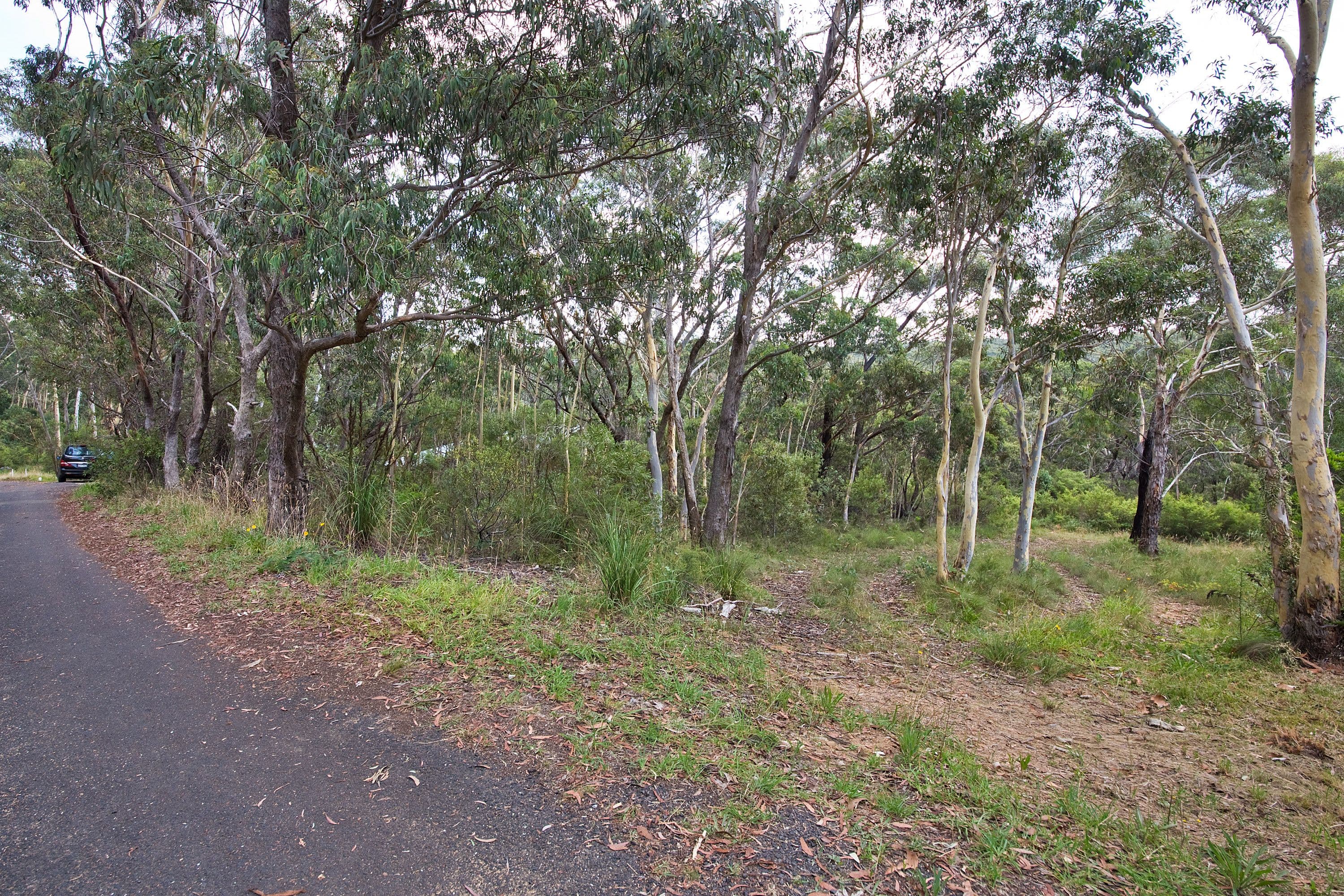 14 Godson Ave (Block 1), Blackheath NSW 2785, Blackheath - Image 1