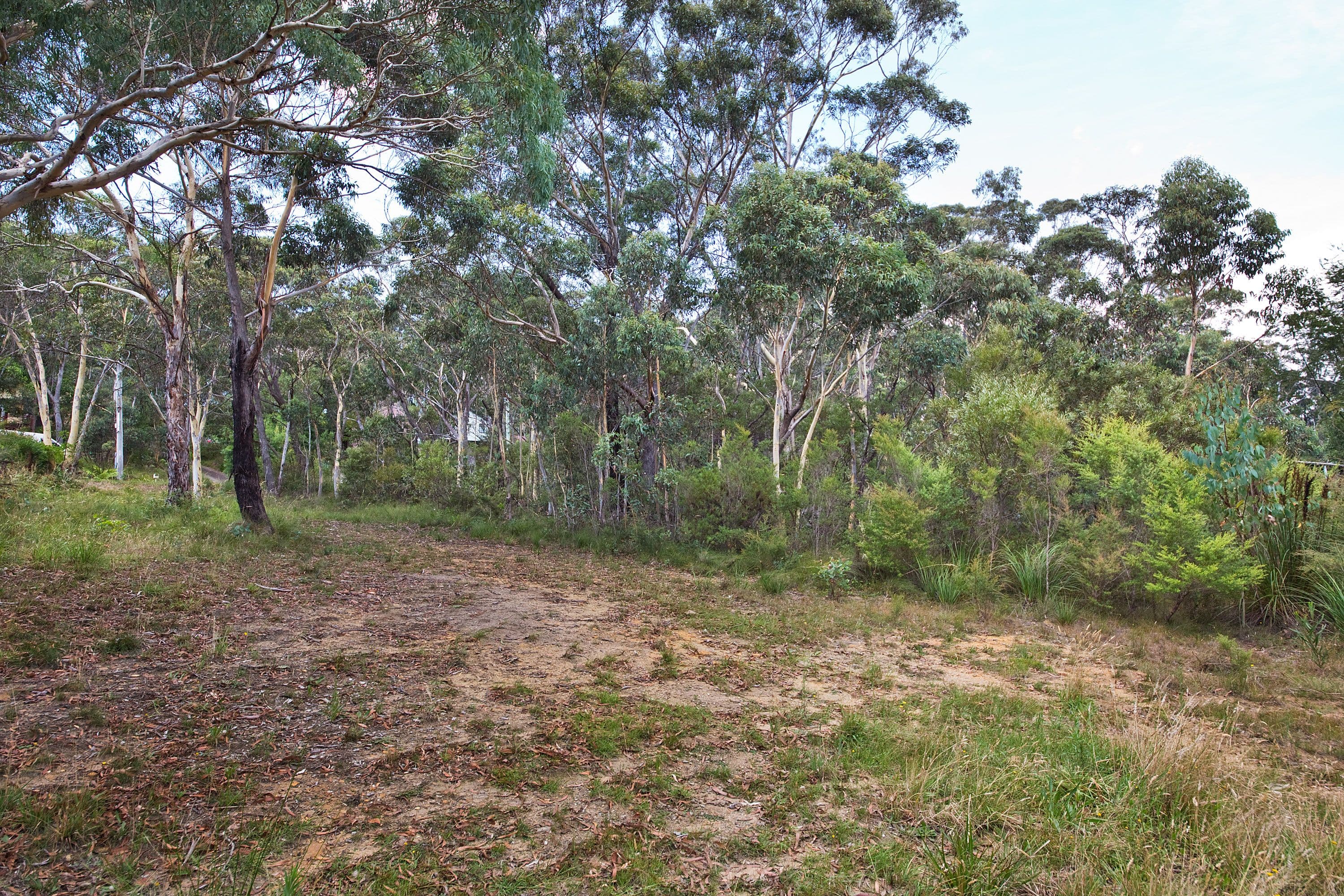 14 Godson Ave (Block 1), Blackheath NSW 2785, Blackheath - Thumbnail 3