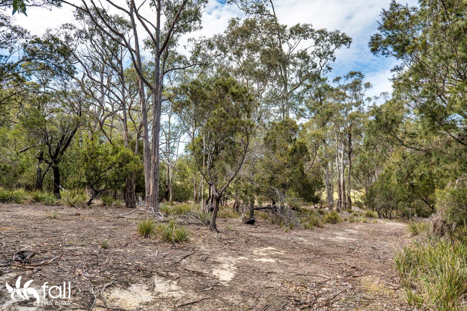 954 Killora Road, NORTH BRUNY TAS 7150, North Bruny - Thumbnail 4